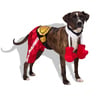 Bootique Halloween Disfraz Boxeador para perro, Grande/X-Grande Bootique Halloween Disfraz Boxeador para perro, Grande/X-Grande