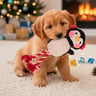 Latipaw Holiday Pingüino de Peluche con Cuerda y Pelota en el Interior para Perro, Mediano Latipaw Holiday Pingüino de Peluche con Cuerda y Pelota en el Interior para Perro, Mediano