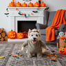 Bootique Halloween Disfraz Perezoso para Perro, Chico Bootique Halloween Disfraz Perezoso para Perro, Chico