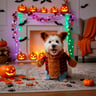 Bootique Halloween Disfraz Hombre Lobo para Perro, Chico Bootique Halloween Disfraz Hombre Lobo para Perro, Chico