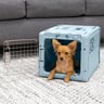 SportPet Transportadora Plegable Color Azul para Perro y Gato, X-Chico SportPet Transportadora Plegable Color Azul para Perro y Gato, X-Chico