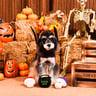 HugSmart Halloween Set de Peluches Diseño Poción de Hongos para Perro, Chico HugSmart Halloween Set de Peluches Diseño Poción de Hongos para Perro, Chico