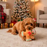 FuzzYard Holiday Galleta Decorada de Jengibre de Peluche para Perro, Mediano FuzzYard Holiday Galleta Decorada de Jengibre de Peluche para Perro, Mediano