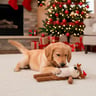 FuzzYard Holiday Reno Navideño Largo de Peluche para Perro, Grande FuzzYard Holiday Reno Navideño Largo de Peluche para Perro, Grande