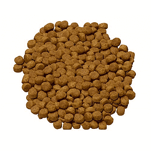 Hill's Science Diet Alimento Seco para Perro Adulto Raza Mediana/ Grande Receta Pollo y Cebada, 3 kg
