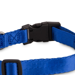 Good2Go Collar de Nylon Color Azul con Broche para Perro, Mediano