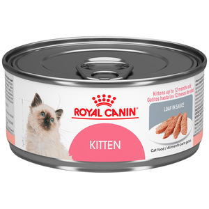 Royal Canin Kitten Alimento Húmedo para Gatito, 145 g