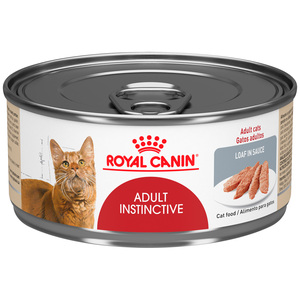 Royal Canin Adult Instinct Alimento Húmedo para Gato Adulto Receta Pollo, 145 g