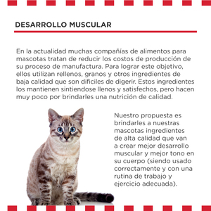 Livelong Healthy & Strong Alimento Natural Húmedo para Gato Todas las Edades Receta Delicias de Carnes, 156 g