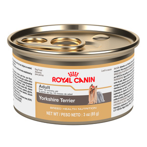 Royal Canin Alimento Húmedo para Perro Adulto Raza Yorkshire Terrier Receta Pollo, 85 g