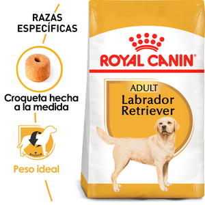 Royal Canin Alimento Seco para perro Adulto Raza Labrador Retriever, 13.6 kg