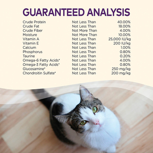 Wellness Complete Health Libre de Granos Alimento Natural para Gato Receta de Pollo Deshuesado, 2.4 kg