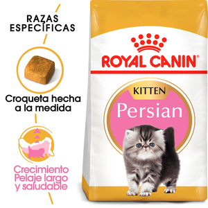 Royal Canin Alimento Seco para Gatito Persa Receta Pollo, 1.3 kg