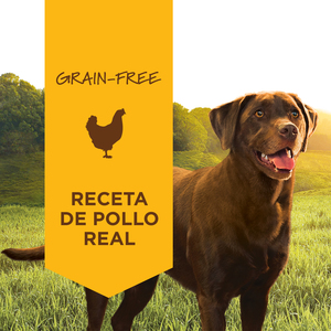 Instinct Libre de Granos Alimento Húmedo para Perro Todas las Edades Receta Pollo, 374 g