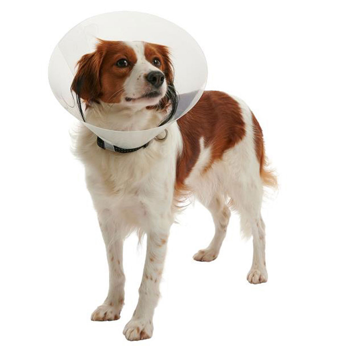 Collarines para Curar Heridas POPETPOP Collar de Recuperación para Mascotas Rosa Tamaño XS Collar de Isabelino Inflable para Perros y Gatos 