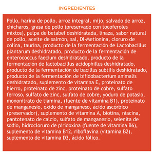 WholeHearted Alimento Natural para Perro Todas las Edades Receta Pollo y Arroz Integral, 2.2 kg