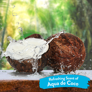 Tropiclean Shampoo en Seco Control de Caspa con Aroma a Coco para Gato, 220 ml