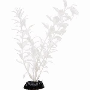 Imagitarium Planta Ludwigia de Decoración para Acuario