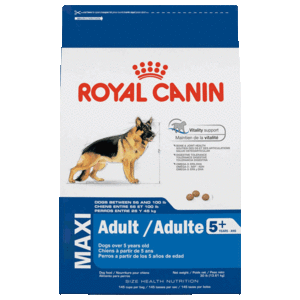 Royal Canin Alimento Seco para Perro Senior Raza Grande, 13.6 kg