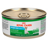 Royal Canin Weight Care Alimento Húmedo Control de Peso para Perro Adulto Raza Pequeña Receta Pollo, 165g