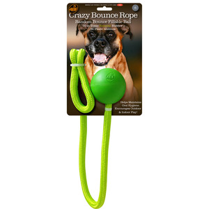 4BF Juguete de Hule Crazy Bounce Rope Verde para Perro, Chico