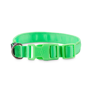 Good2Go Collar Reflejante con Luz LED Recargable Color Verde para Perro, Mediano