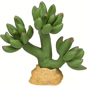 Imagitarium Decoración Cactus Rosa para Reptiles